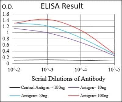 ELISA: DIS3L2 Antibody (6C7B2) - BSA Free [NBP2-37316]