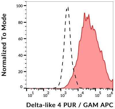 Flow Cytometry: DLL4 Antibody (MHD4-46) - Low Endotoxin [NBP2-62229]