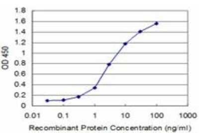ELISA: DLX5 Antibody (4H6) [H00001749-M07]