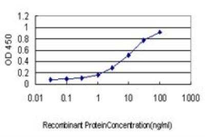 ELISA: DNA Polymerase Kappa Antibody (6F2) [H00051426-M01]