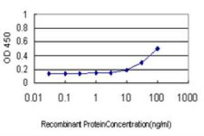 ELISA: DNAJA2 Antibody (2A11-F2) [H00010294-M01]