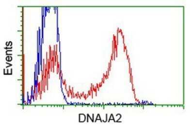 Flow Cytometry: DNAJA2 Antibody (OTI3A10) - Azide and BSA Free [NBP2-71565]