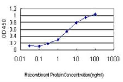 ELISA: DNAJB2 Antibody (2C9) [H00003300-M03]