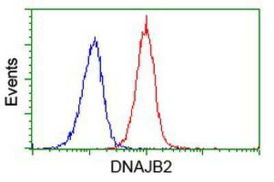 Flow Cytometry: DNAJB2 Antibody (OTI4D12) [NBP2-00638]