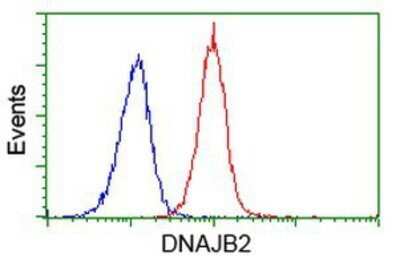 Flow Cytometry: DNAJB2 Antibody (OTI4D12) - Azide and BSA Free [NBP2-70951]