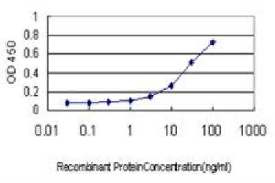 ELISA: DNAJB6 Antibody (2C11-C1) [H00010049-M01]