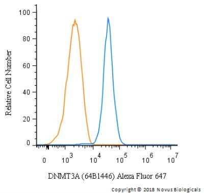 Flow Cytometry: DNMT3A Antibody (64B1446) - Azide and BSA Free [NBP2-80699]