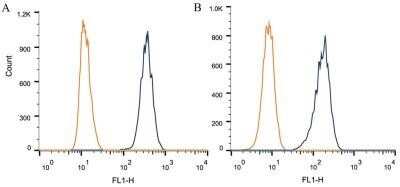 Flow Cytometry: DNMT3A Antibody (64B1446) - Azide and BSA Free [NBP2-80699]