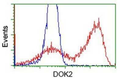 Flow Cytometry: DOK2 Antibody (OTI1A4) - Azide and BSA Free [NBP2-71407]