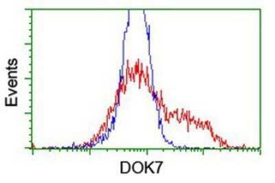 Flow Cytometry: DOK7 Antibody (OTI1A9) - Azide and BSA Free [NBP2-72494]