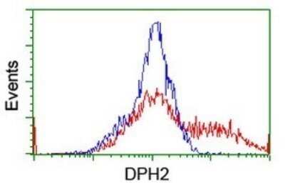 Flow Cytometry: DPH2 Antibody (OTI3A12) - Azide and BSA Free [NBP2-70587]
