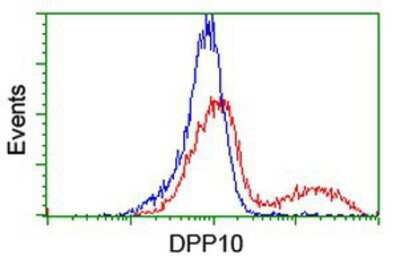 Flow Cytometry: DPP10 Antibody (OTI1A5) [NBP2-01249]