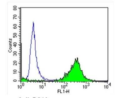 Flow Cytometry: DPPIV/CD26 Antibody (236.3) - Azide and BSA Free [NBP2-22434]