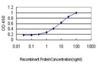 ELISA: DRAK2 Antibody (2C3) [H00009262-M01]