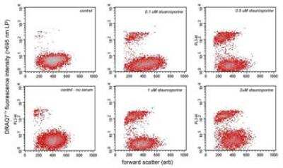 Flow Cytometry: DRAQ7 (TM) [NBP2-81126]