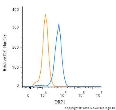 Flow Cytometry: DRP1 Antibody - BSA Free [NB110-55288]