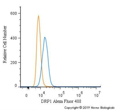 Flow Cytometry: DRP1 Antibody - BSA Free [NB110-55288]