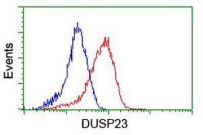Flow Cytometry: DUSP23 Antibody (OTI3C10) [NBP2-01507]