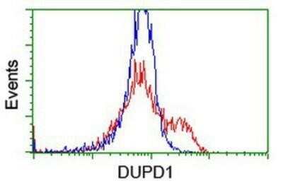 Flow Cytometry: DUSP27/DUPD1 Antibody (OTI7E4) - Azide and BSA Free [NBP2-72503]