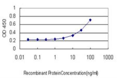 ELISA: DUSP4 Antibody (1D12) [H00001846-M08]