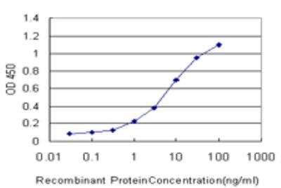 ELISA: DUSP5 Antibody (4C8) [H00001847-M03]