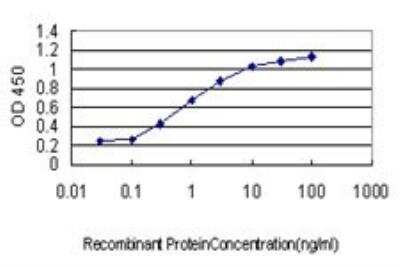 ELISA: DYRK1A Antibody (7D10) [H00001859-M01]
