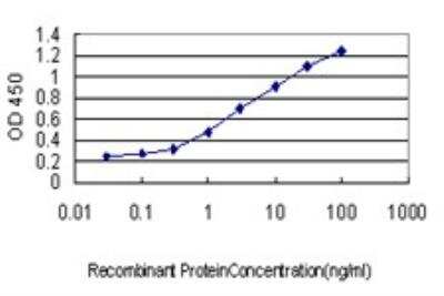 ELISA: Dcp1a Antibody (3G4) [H00055802-M06]