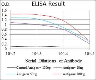 ELISA: Decorin Antibody (5E8E7) - BSA Free [NBP2-37333]