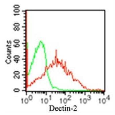Flow Cytometry: Dectin-2/CLEC6A Antibody (3D1) - BSA Free [NBP2-27159]
