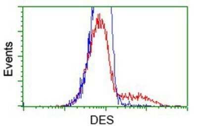 Flow Cytometry: Desmin Antibody (OTI4G1) - Azide and BSA Free [NBP2-70565]
