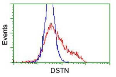 Flow Cytometry: Destrin Antibody (OTI2F7) [NBP2-00527]