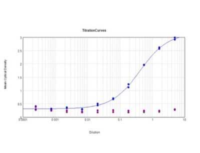 ELISA: Digoxigenin Antibody (DIG45) - VHH [NBP3-06992]