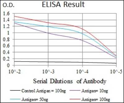 ELISA: Dkk-3 Antibody (8A5C6) - BSA Free [NBP2-37430]