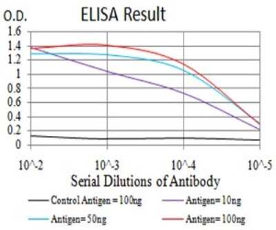 ELISA: Dnmt3L Antibody (2D10H11) - BSA Free [NBP2-61756]