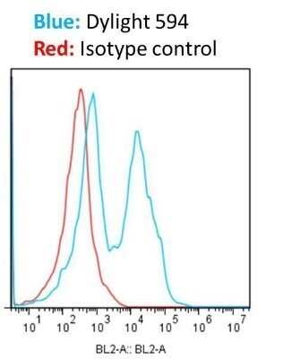 Flow Cytometry: Donkey anti-Rabbit IgG (H+L) Secondary Antibody (Pre-adsorbed) [NBP1-75286]