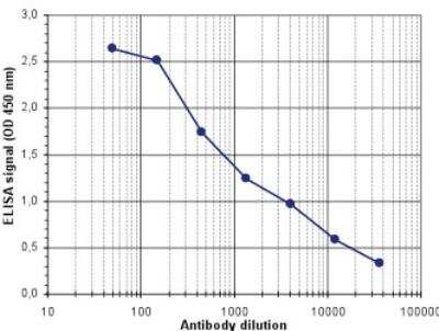 ELISA: Dre recombinase Antibody [NBP3-11868]
