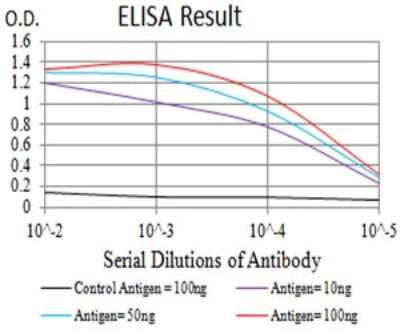 ELISA: Dynamin 2 Antibody (3F5F3) - BSA Free [NBP2-61757]