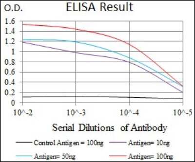 ELISA: Dynein light chain 4 Antibody (3C10A4) - BSA Free [NBP2-37389]