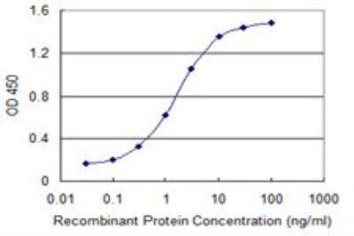 ELISA: Dyrk1B Antibody (2E8) [H00009149-M10]