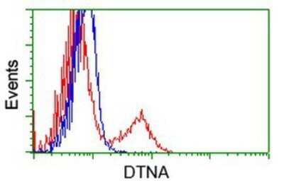 Flow Cytometry: Dystrobrevin alpha Antibody (OTI1B2) - Azide and BSA Free [NBP2-70591]