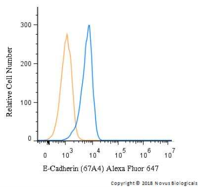 Flow Cytometry: E-Cadherin Antibody (67A4) - BSA Free [NBP1-42793]