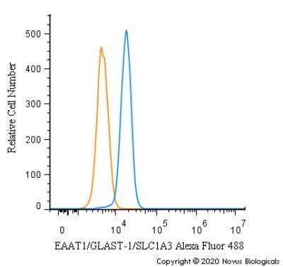 Flow Cytometry: EAAT1/GLAST-1/SLC1A3 Antibody - BSA Free [NB100-1869]