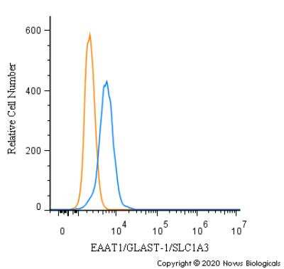 Flow Cytometry: EAAT1/GLAST-1/SLC1A3 Antibody - BSA Free [NBP3-05771]