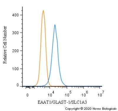 Flow Cytometry: EAAT1/GLAST-1/SLC1A3 Antibody - BSA Free [NBP3-05771]