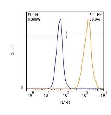 Flow (Intracellular): EAAT1/GLAST-1/SLC1A3 Antibody - BSA Free [NB100-1869]