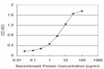 ELISA: EAAT2/GLT1 Antibody (1D8) [H00006506-M07]