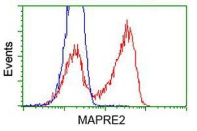 Flow Cytometry: EB2 Antibody (OTI1F3) [NBP2-00714]
