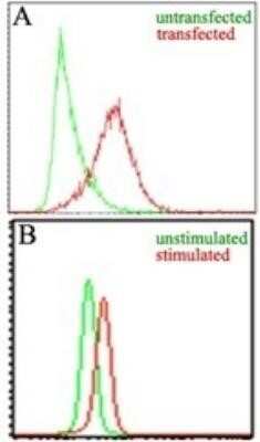 Flow Cytometry: EBI3 Antibody (10J803) - Azide and BSA Free [NBP2-80706]