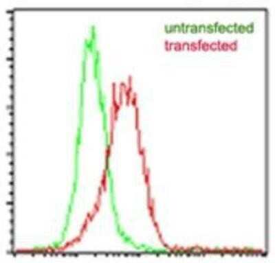 Flow Cytometry: EBI3 Antibody (5P6G8) - Azide and BSA Free [NBP2-80708]
