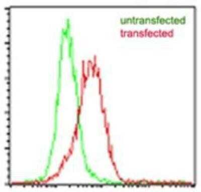 Flow Cytometry: EBI3 Antibody (5P6G8) [NBP2-03942]